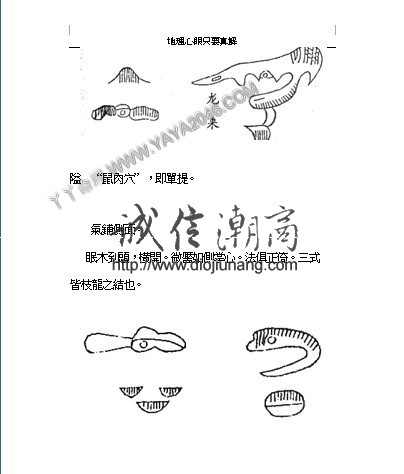 图片[27]-陽4. 地理心眼旨要真傳，青囊內傳 即《海角經》，又名《三字青囊》 本篇傳為秦宋黃石公所作 - 誠信潮商命理網人民幣分站-誠信潮商命理網人民幣分站