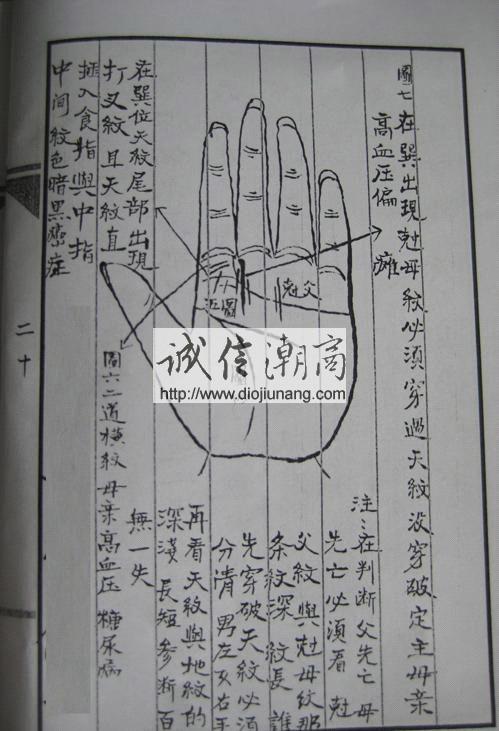 图片[3]-安徽古相法名師的上古珍藏古籍被偷拍，125頁PDF偷拍版|安徽古相法一向不外傳，但是朋友居然偷拍到了這份頂級壓箱寶 - 誠信潮商命理網人民幣分站-誠信潮商命理網人民幣分站